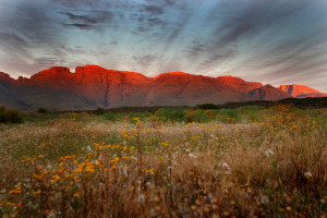 Cederberg South Africa