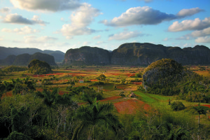 Farm in Cuba