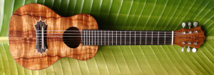 KoAloha Ukulele