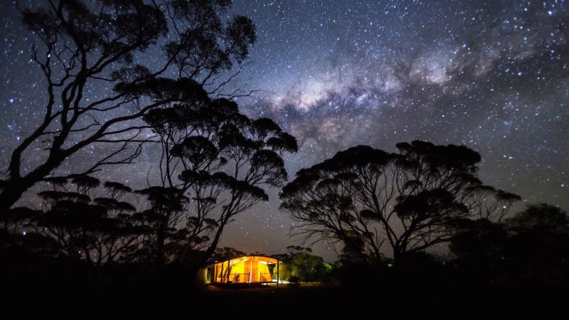 Kangaluna Camp, Gawler Ranges, SA