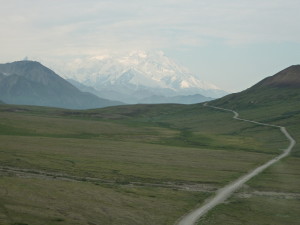 Denali view of Mt. McKinley